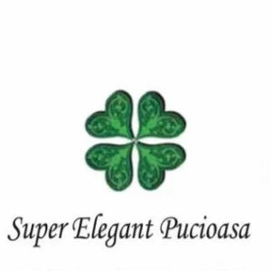 Super Elegant Pucioasa